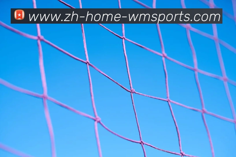 完美体育官网APP 封面图